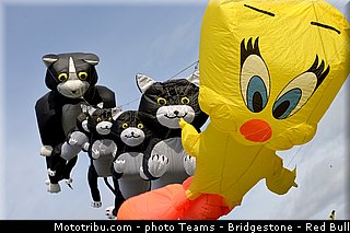 motogp_ambiance_010_pays_bas_assen_2013.jpg