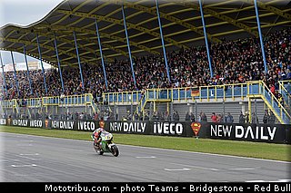 motogp_bradl_026_pays_bas_assen_2013.jpg