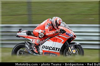 motogp_hayden_023_pays_bas_assen_2013.jpg