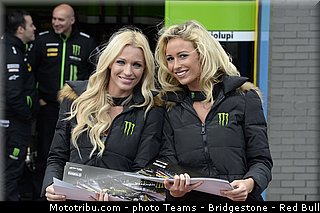 motogp_pitbabe_014_pays_bas_assen_2013.jpg