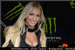 motogp_pitbabe_020_pays_bas_assen_2013.jpg