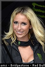 motogp_pitbabe_022_pays_bas_assen_2013.jpg