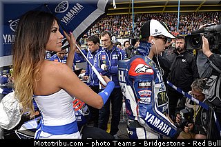 motogp_pitbabe_033_pays_bas_assen_2013.jpg