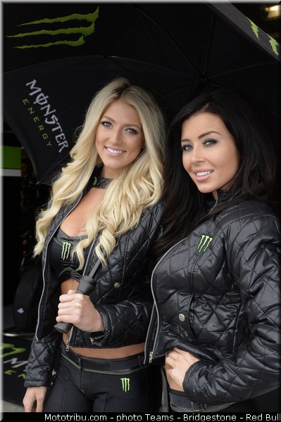 pitbabe_013_motogp_2013_usa_laguna_seca