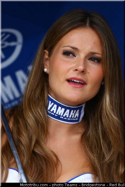 motogp_pitbabe_0021_espagne_aragon_motorland_2013