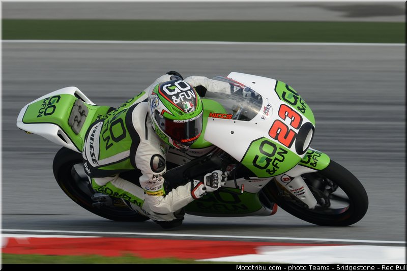moto3_antonelli_004_malaisie_sepang_2013