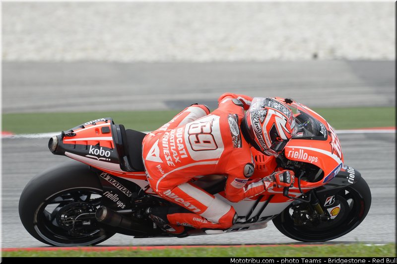 motogp_hayden_011_malaisie_sepang_2013