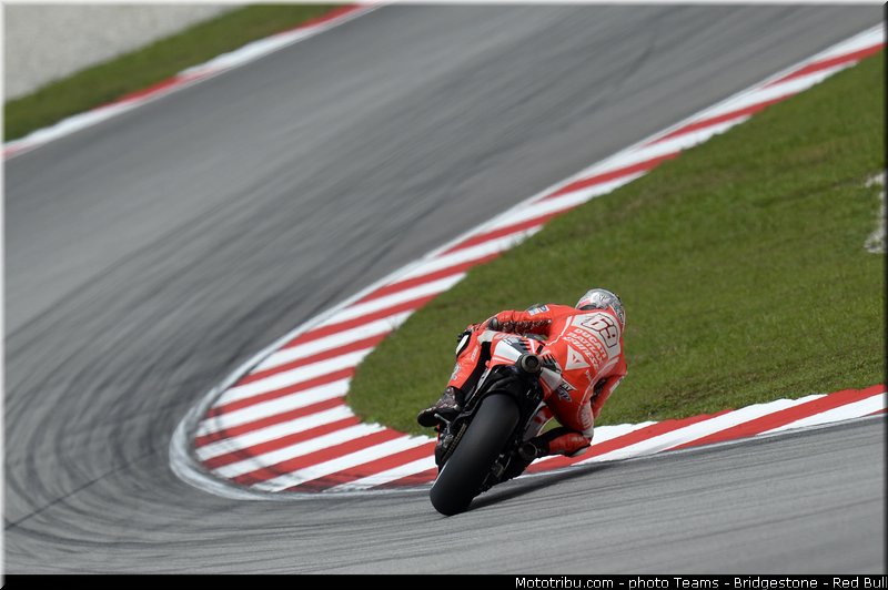 motogp_hayden_017_malaisie_sepang_2013