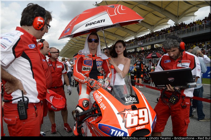 motogp_hayden_022_malaisie_sepang_2013