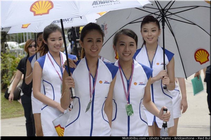 motogp_pitbabe_022_malaisie_sepang_2013