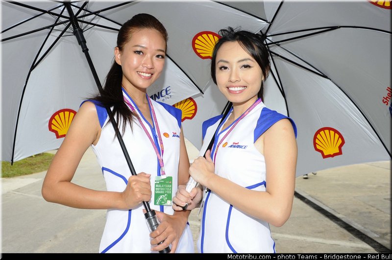 motogp_pitbabe_027_malaisie_sepang_2013