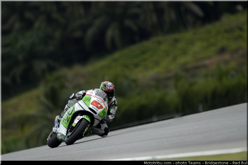 motogp_staring_012_malaisie_sepang_2013