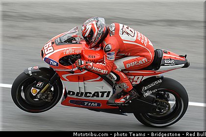 motogp_hayden_003_malaisie_sepang_2013.jpg