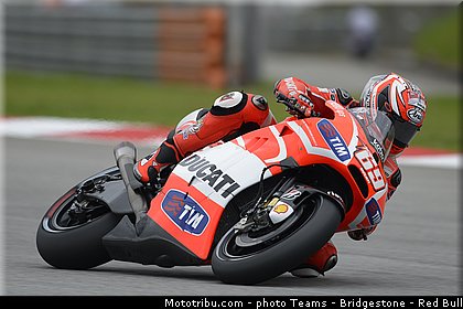 motogp_hayden_010_malaisie_sepang_2013.jpg