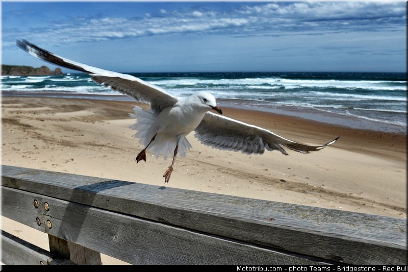 motogp_ambiance_0004_australie_philip_island_2013
