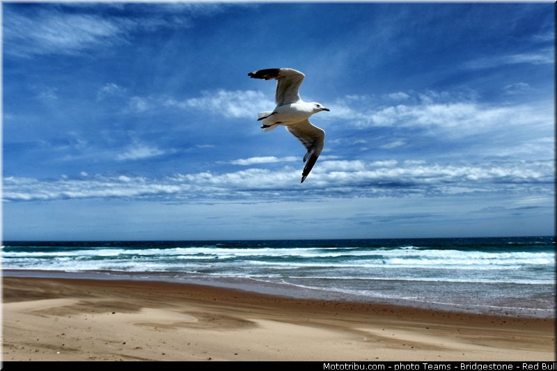 motogp_ambiance_0005_australie_philip_island_2013