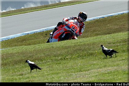 moto3_folger_0002_australie_philip_island_2013.jpg