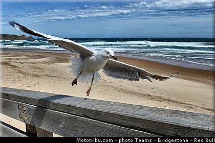 motogp_ambiance_0004_australie_philip_island_2013.jpg