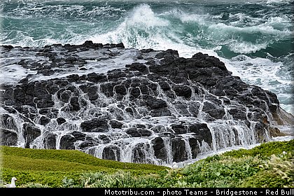 motogp_ambiance_0007_australie_philip_island_2013.jpg