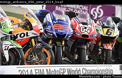 motogp_ambiance_006_qatar_2014_losail.jpg