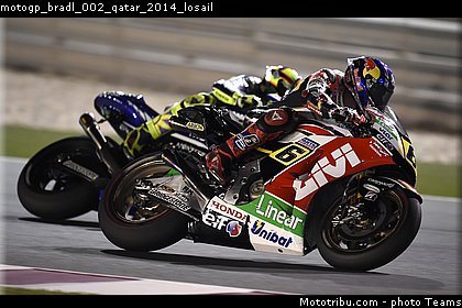 motogp_bradl_002_qatar_2014_losail.jpg