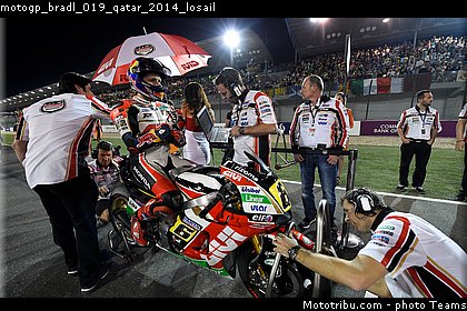 motogp_bradl_019_qatar_2014_losail.jpg