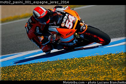 moto2_pasini_001_espagne_jerez_2014.jpg