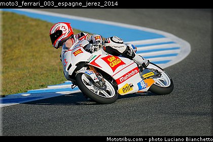 moto3_ferrari_003_espagne_jerez_2014.jpg