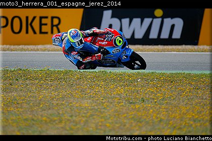 moto3_herrera_001_espagne_jerez_2014.jpg