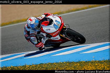 moto3_olivera_003_espagne_jerez_2014.jpg