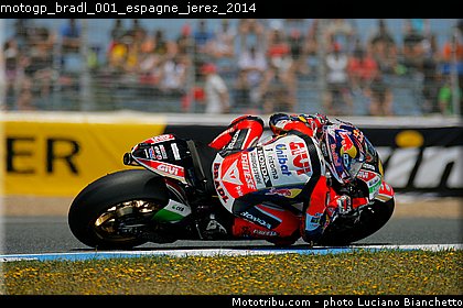 motogp_bradl_001_espagne_jerez_2014.jpg