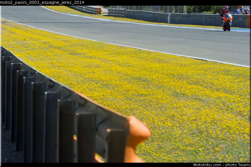 moto2_pasini_0003_espagne_jerez_2014