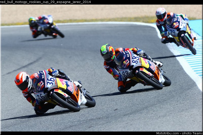 red_bull_motogp_rookies_cup_29_espagne_jerez_2014