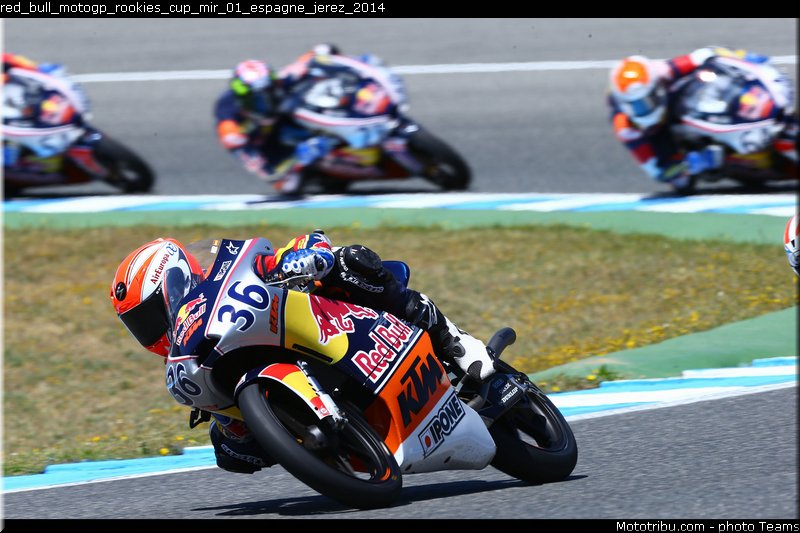 red_bull_motogp_rookies_cup_mir_01_espagne_jerez_2014
