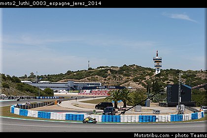 moto2_luthi_0003_espagne_jerez_2014.jpg