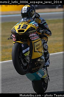 moto2_luthi_0006_espagne_jerez_2014.jpg