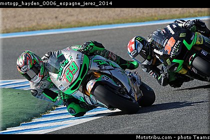 motogp_hayden_0006_espagne_jerez_2014.jpg