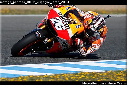motogp_pedrosa_0015_espagne_jerez_2014.jpg