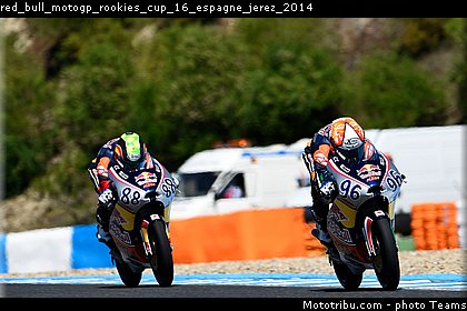 red_bull_motogp_rookies_cup_16_espagne_jerez_2014.jpg