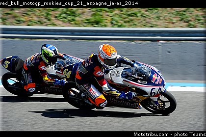 red_bull_motogp_rookies_cup_21_espagne_jerez_2014.jpg