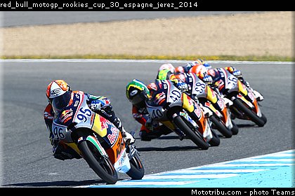 red_bull_motogp_rookies_cup_30_espagne_jerez_2014.jpg