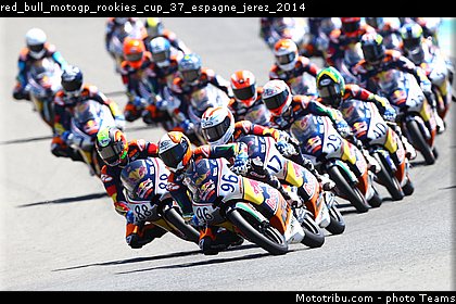 red_bull_motogp_rookies_cup_37_espagne_jerez_2014.jpg