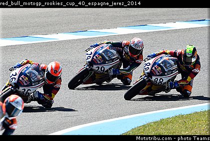 red_bull_motogp_rookies_cup_40_espagne_jerez_2014.jpg