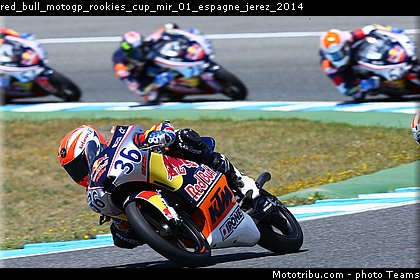 red_bull_motogp_rookies_cup_mir_01_espagne_jerez_2014.jpg