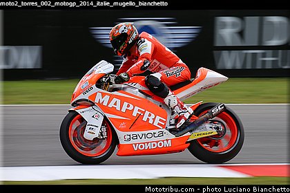 moto2_torres_002_motogp_2014_italie_mugello_bianchetto.jpg