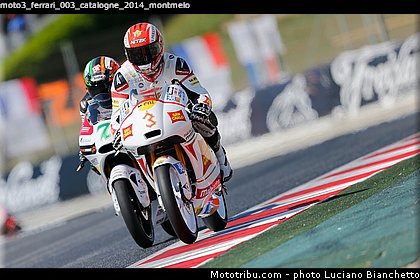 moto3_ferrari_003_catalogne_2014_montmelo.jpg
