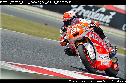 moto2_torres_002_catalogne_2014_montmelo.jpg