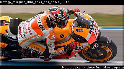motogp_marquez_003_pays_bas_assen_2014.jpg
