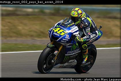 motogp_rossi_002_pays_bas_assen_2014.jpg