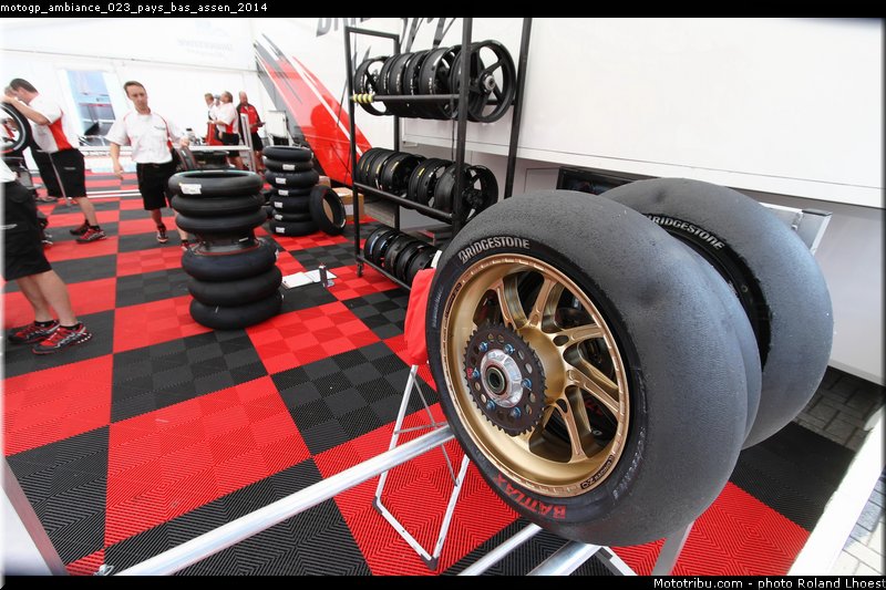 motogp_ambiance_023_pays_bas_assen_2014